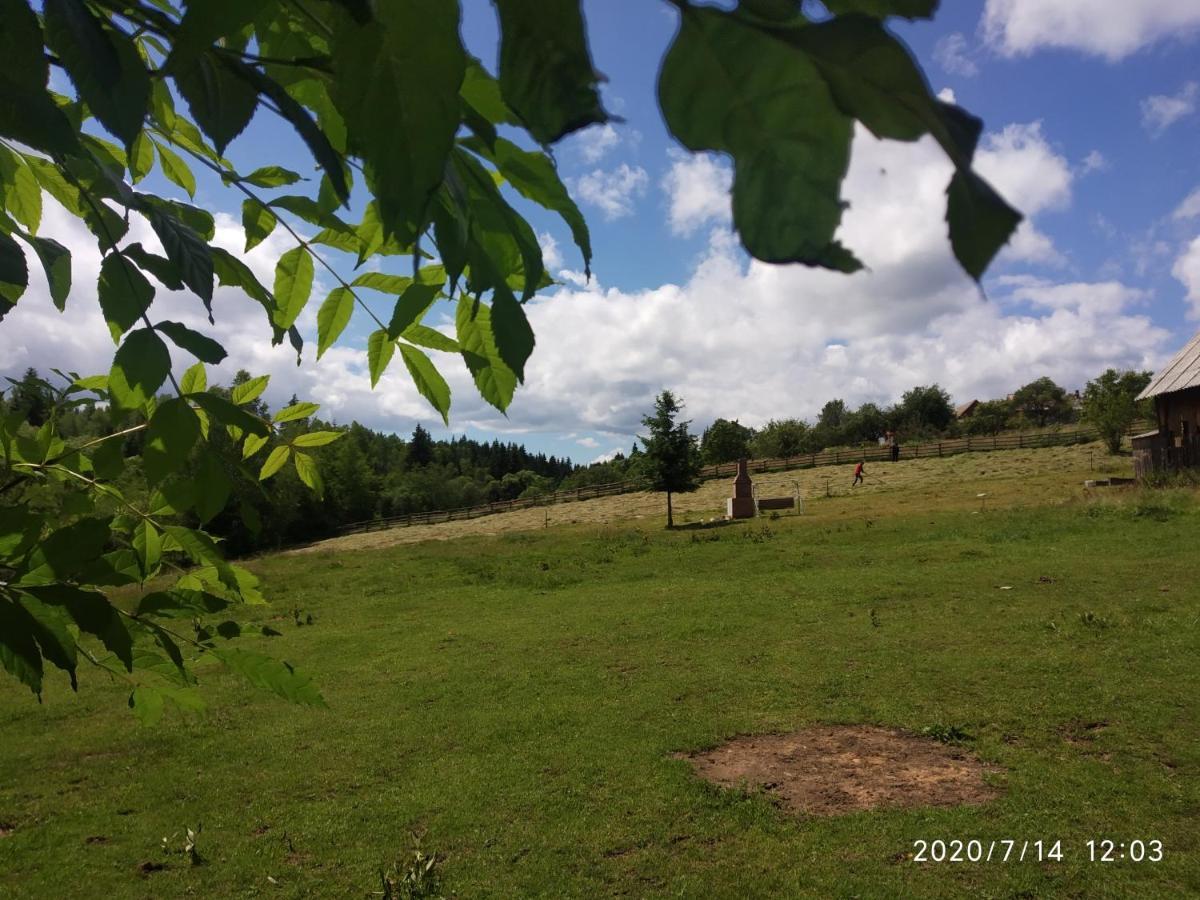 Cabana Belis Dealu Negru Bagian luar foto