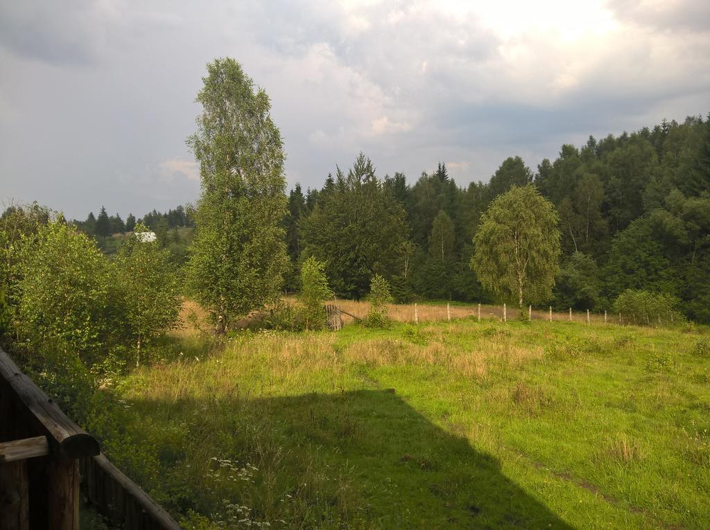 Cabana Belis Dealu Negru Bagian luar foto