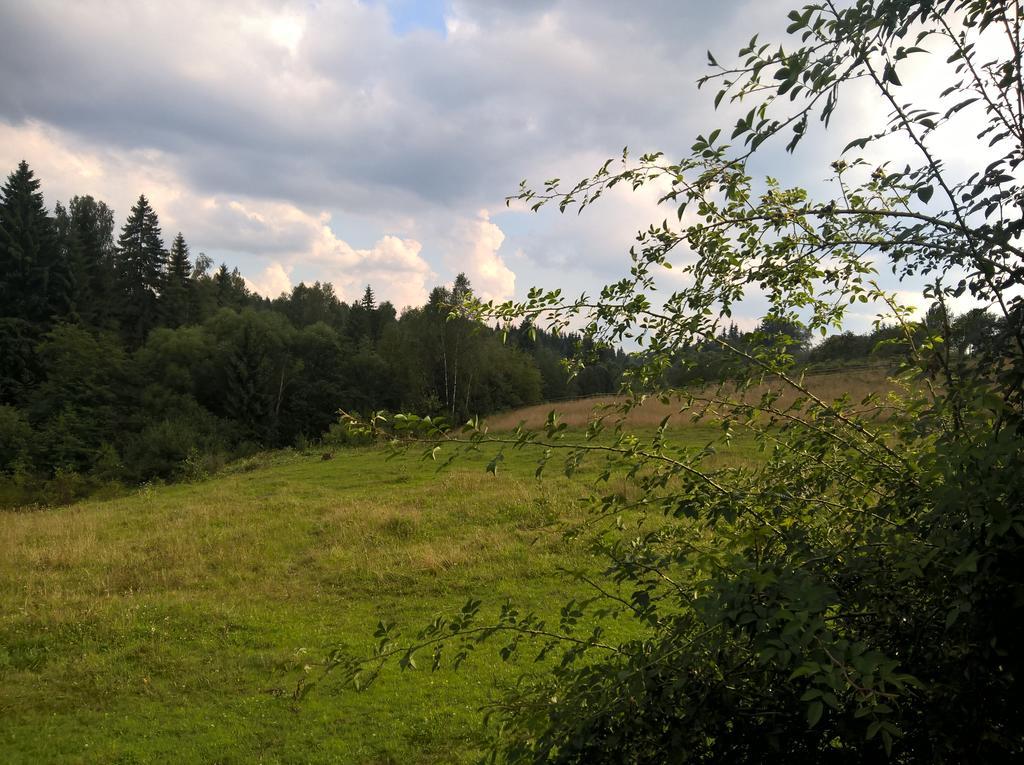 Cabana Belis Dealu Negru Bagian luar foto